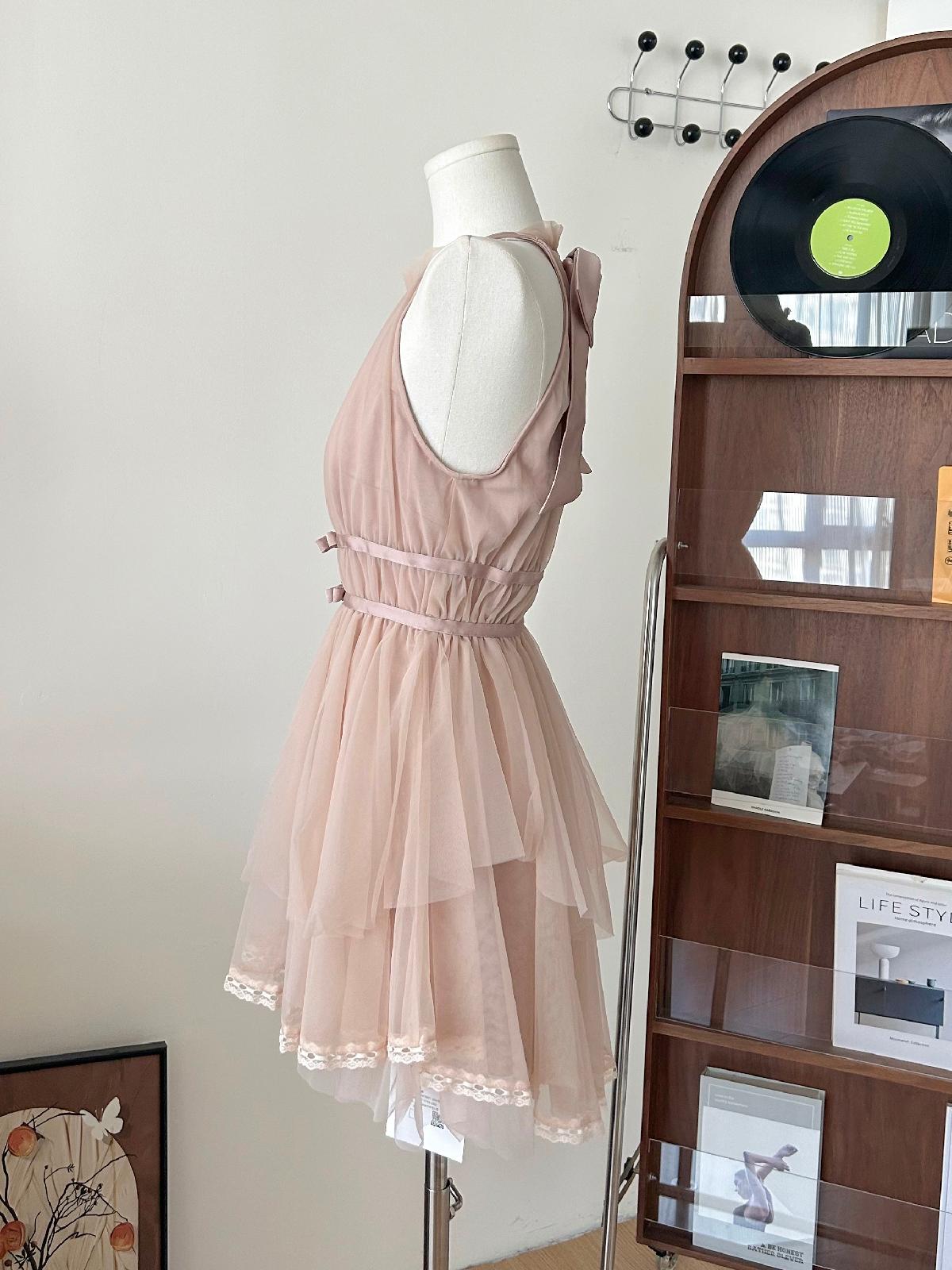 Coquette Rosy Daydreams in Tulle Dress 3